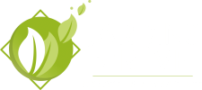 JDR logo blanc